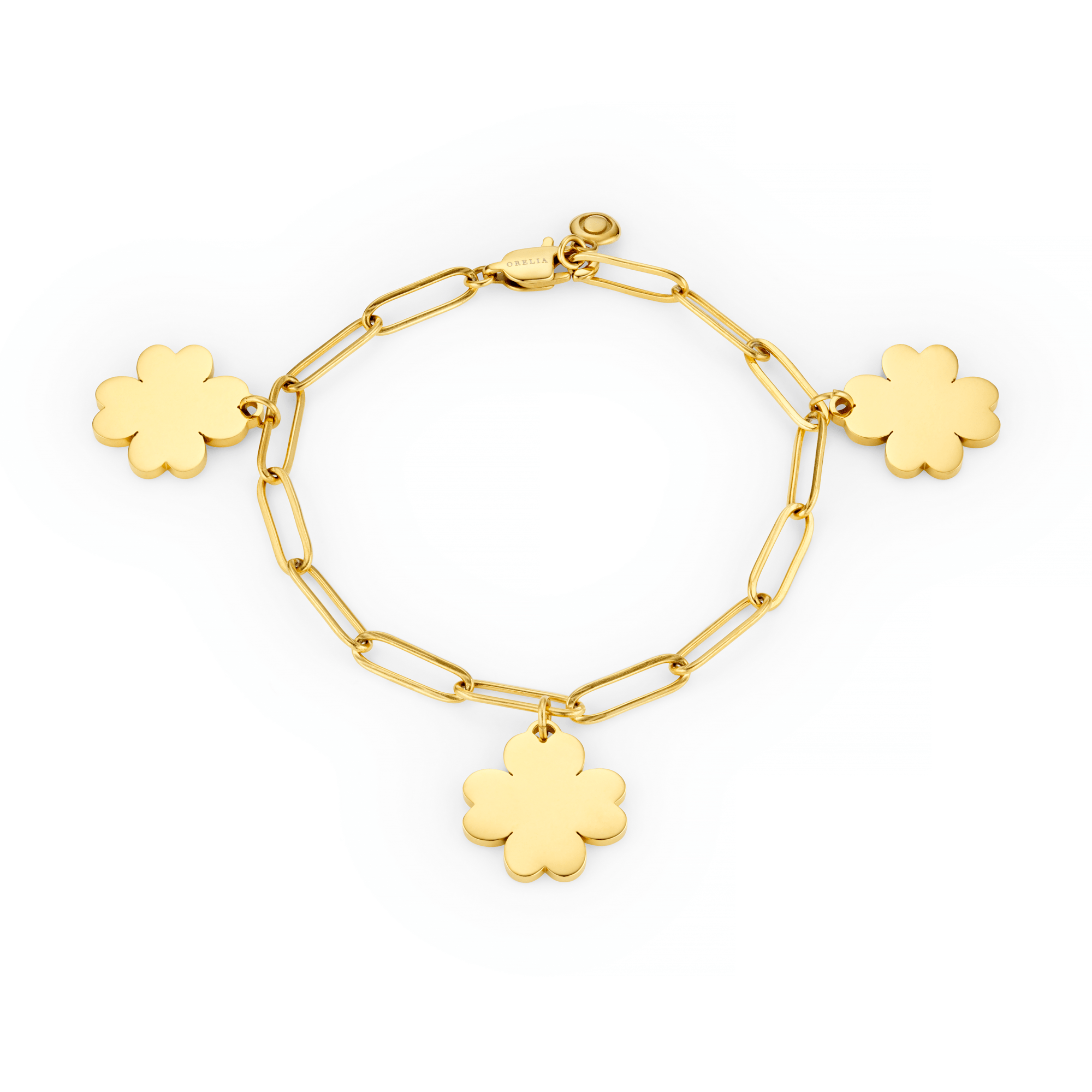 Charm Bracelets