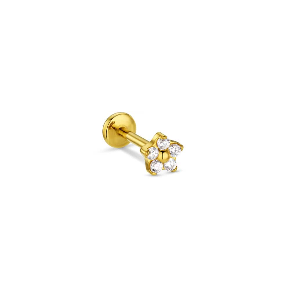 Helix & Cartilage Earrings